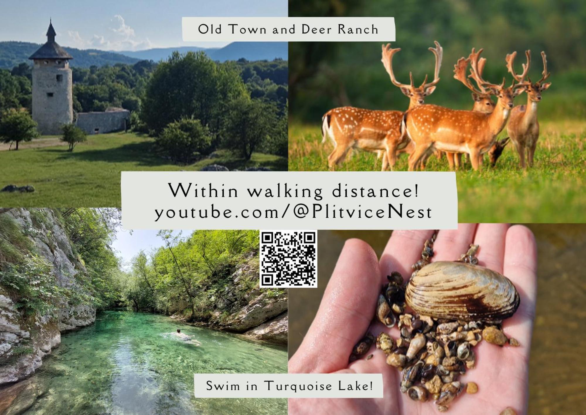 Plitvice Nest 2 Apartment Раковица Екстериор снимка